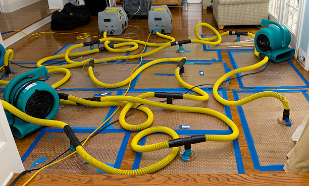 Professional Flood Damage Restoration technician working in Cook, MN